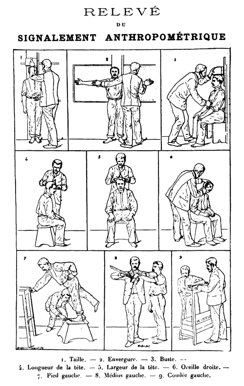 Bertillon_-_Signalement_Anthropometrique